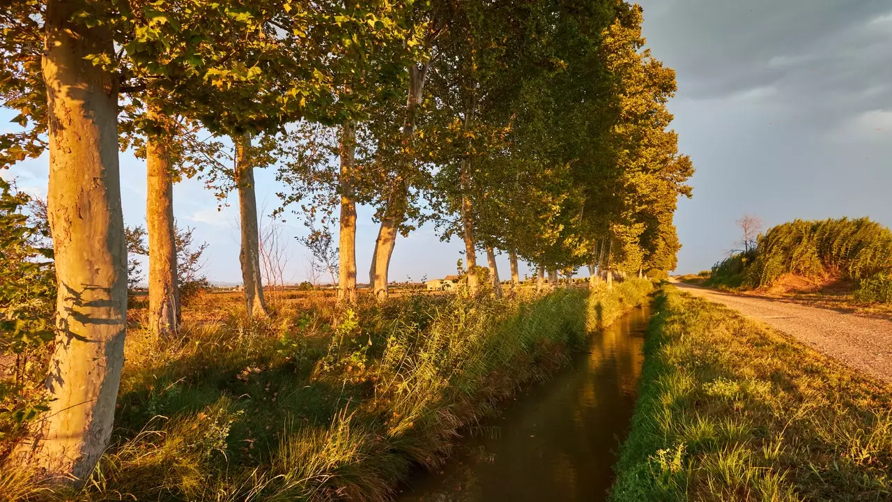 Canals d'Urgell, šetnja duž jedne od najdužih zelenih staza u Evropi