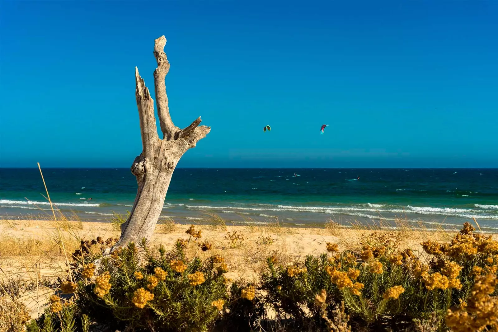 Blonder Sand warmer meerblauer Himmel