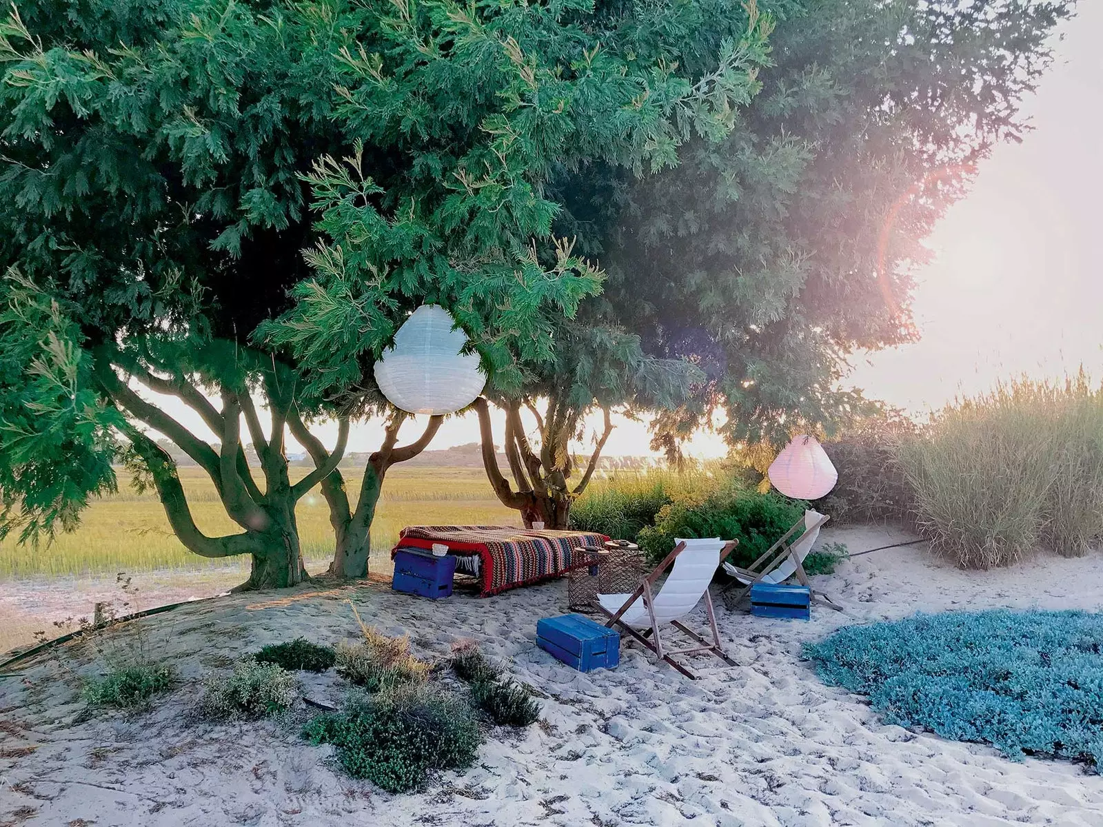 Picnic quddiem l-għelieqi tar-ross ta’ Comporta