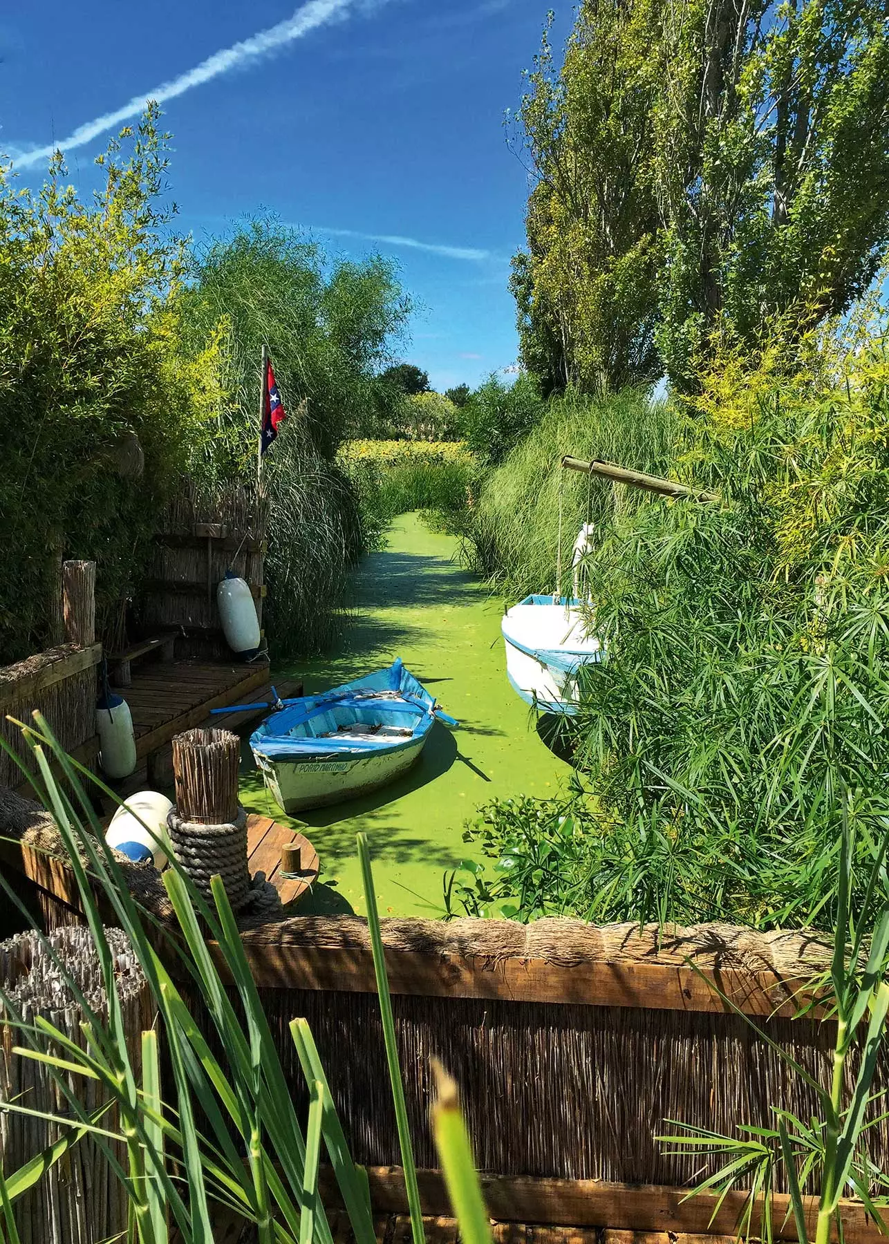 Pots en un llac d'arrossar a casa de Vera lachia