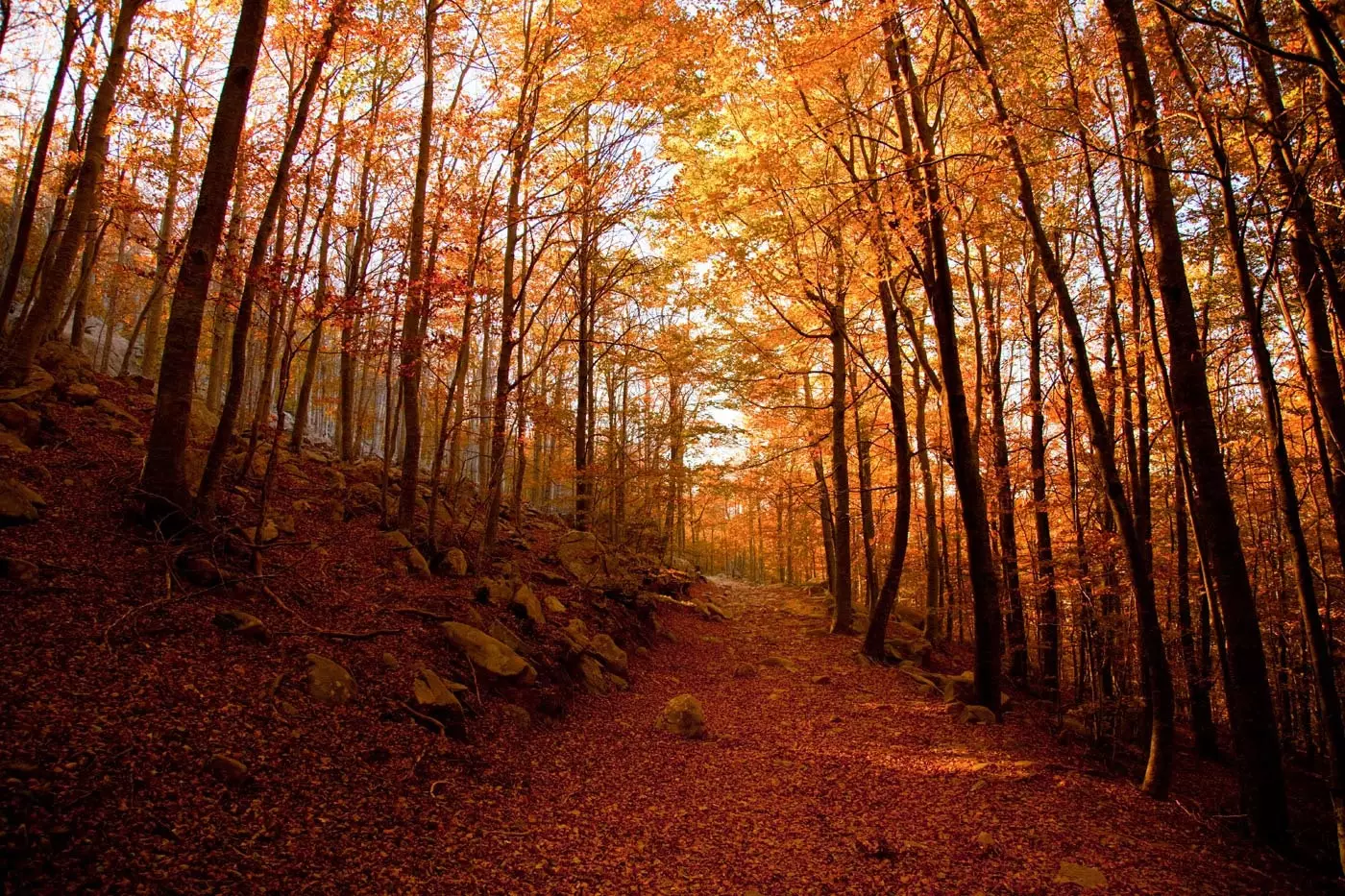 Φυσικό Πάρκο Montseny Catalonia