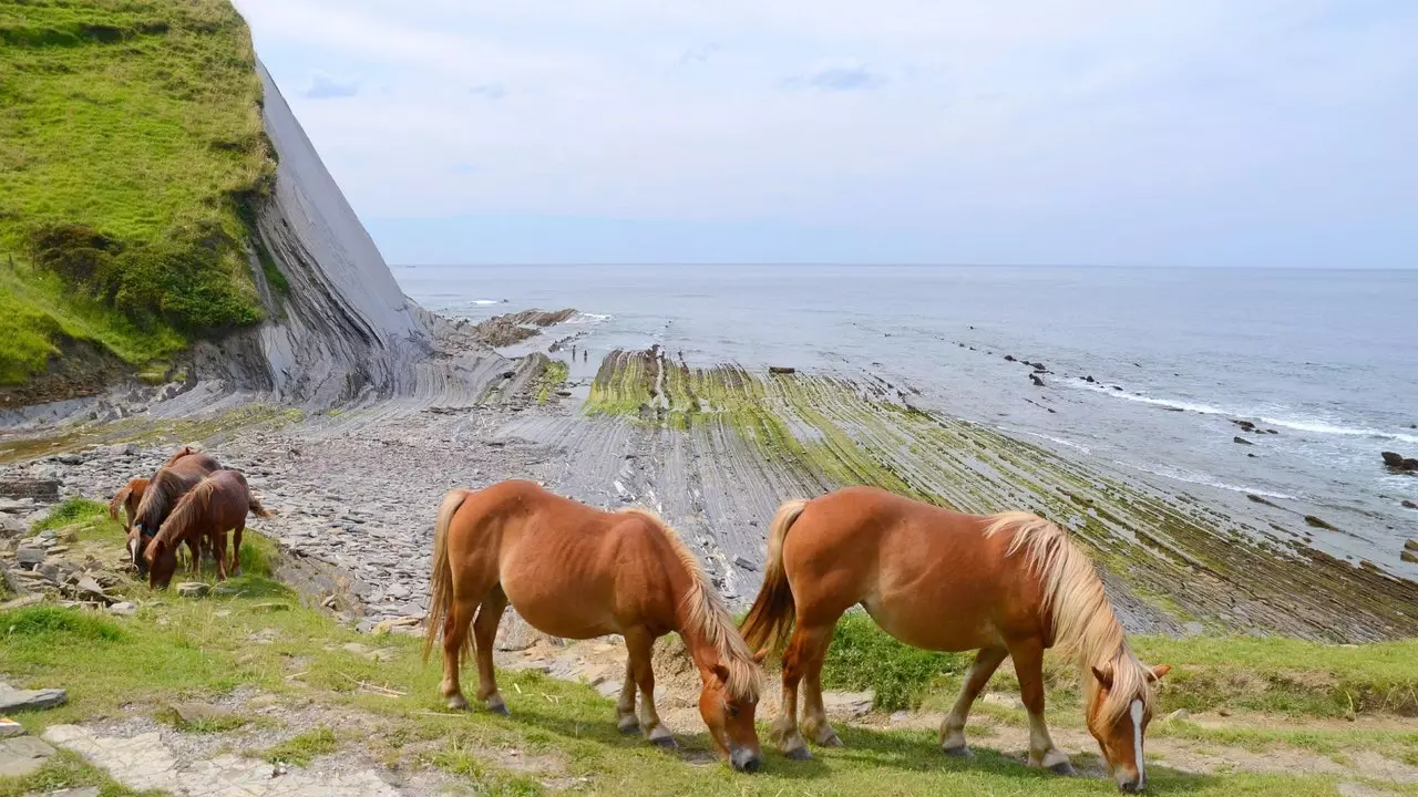 Basque Coast Geopark: אַ גאַניידן צווישן Ondárroa און Zumaia