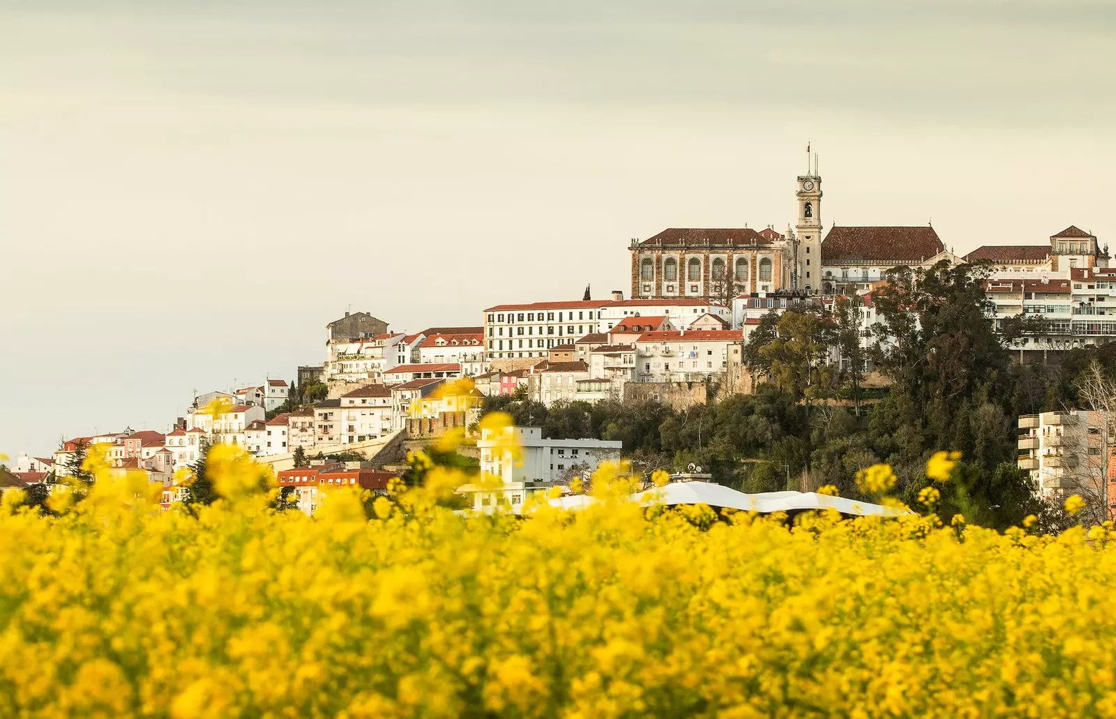 Pohled na město Coimbra