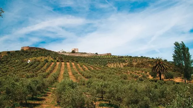 Alentejo, an réigiún trína gcuirimid cosc ort dul trasna arís