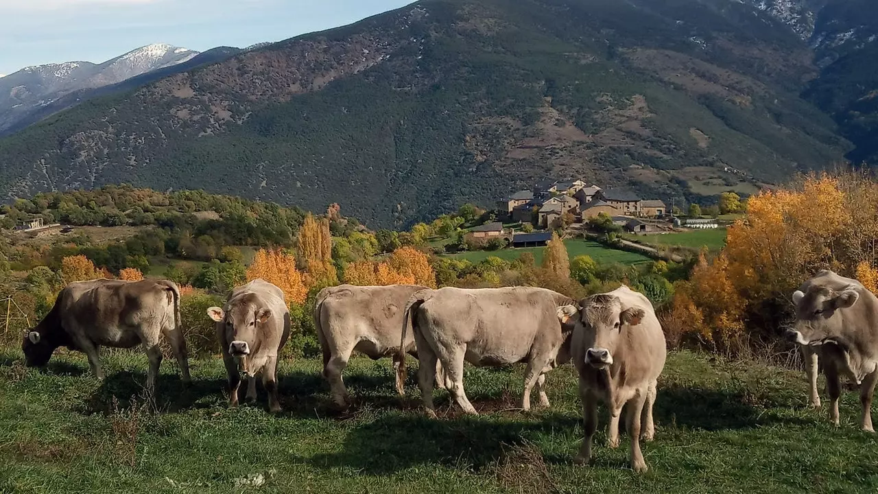 Autentiškas kaimo turizmas buvo toks