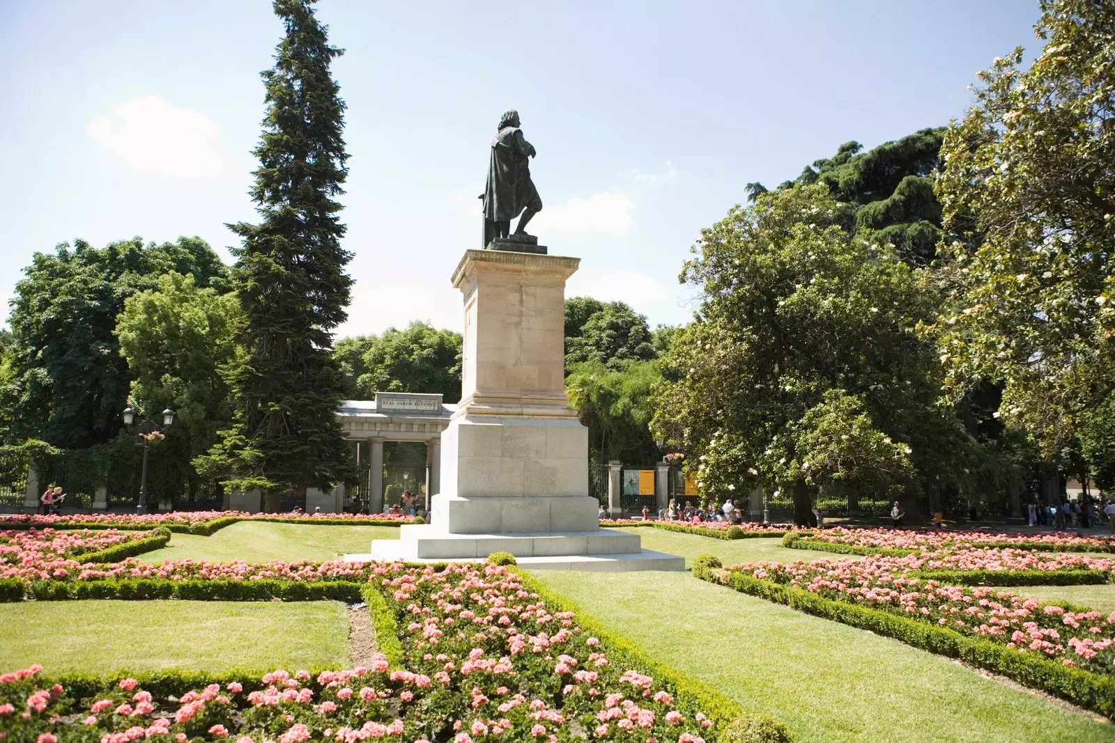 Den kongelige botaniske hagen i Madrid.