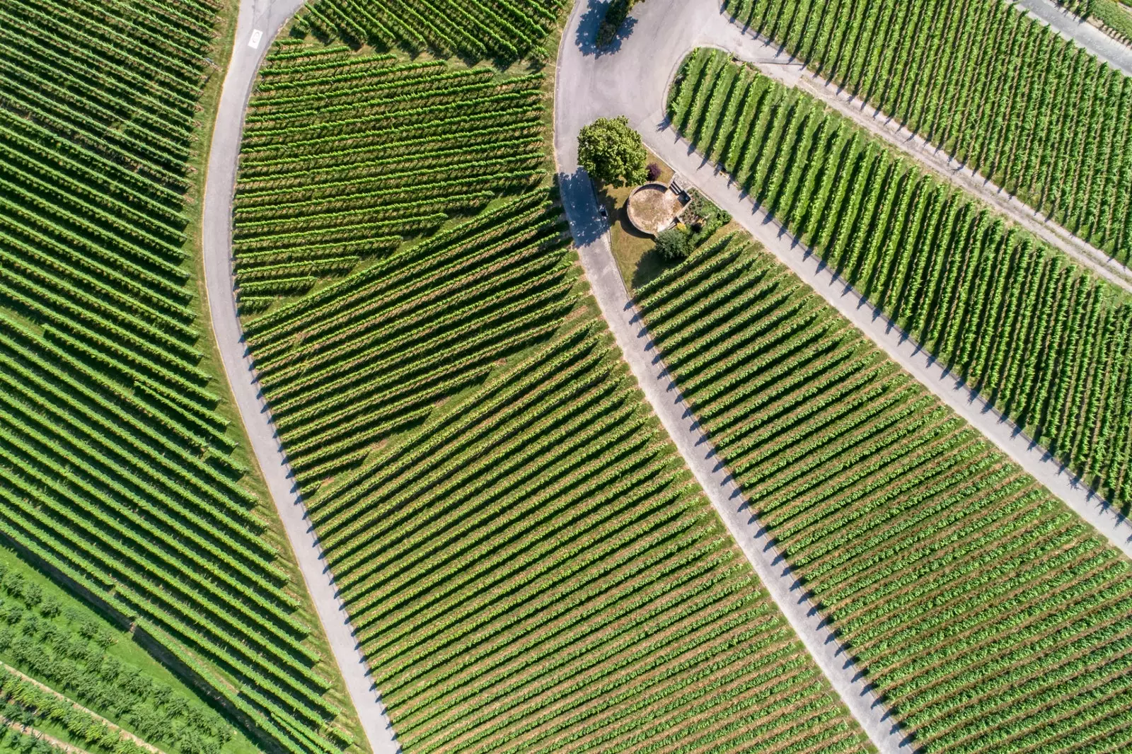 La DO est un territoire délimité avec sa propre réglementation dans lequel un vin est produit.