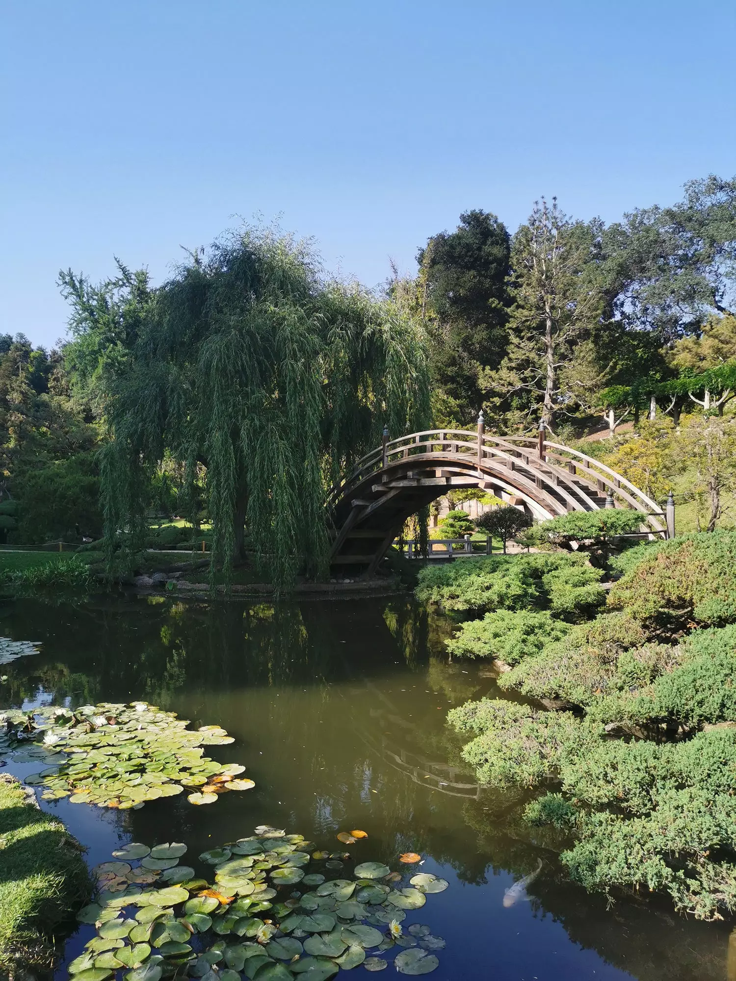 Taman Perpustakaan Huntington di Los Angeles