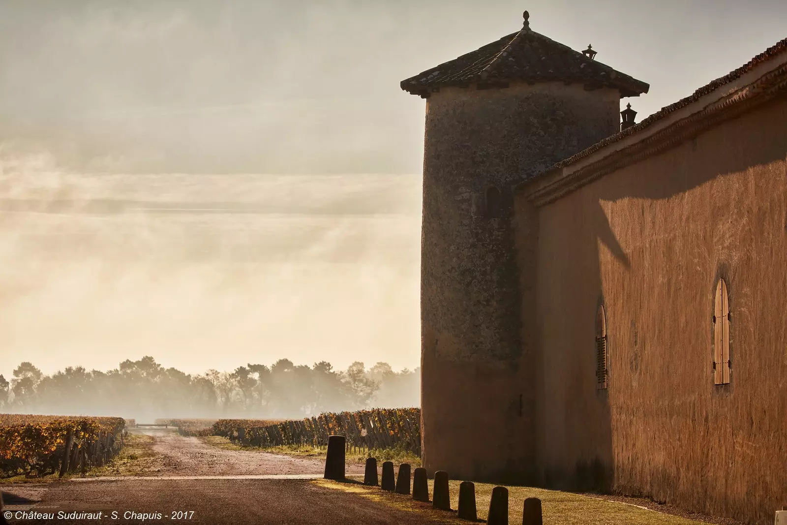 Château Suduiraut Sauternes.