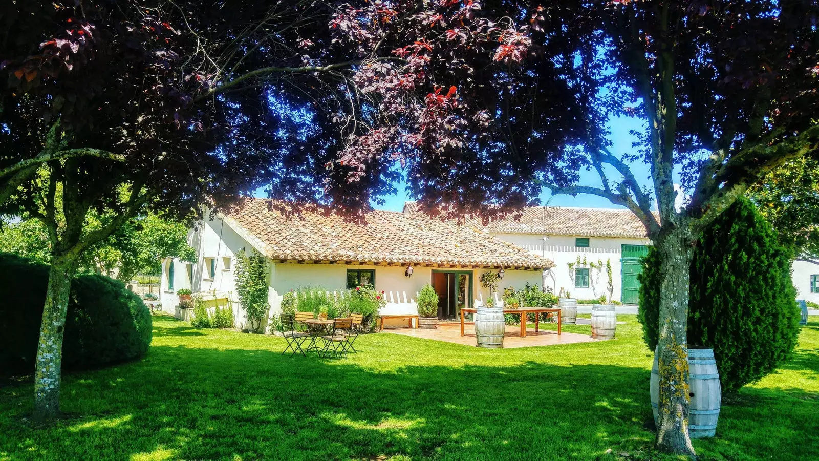 Garden of Finca La Emperatriz.