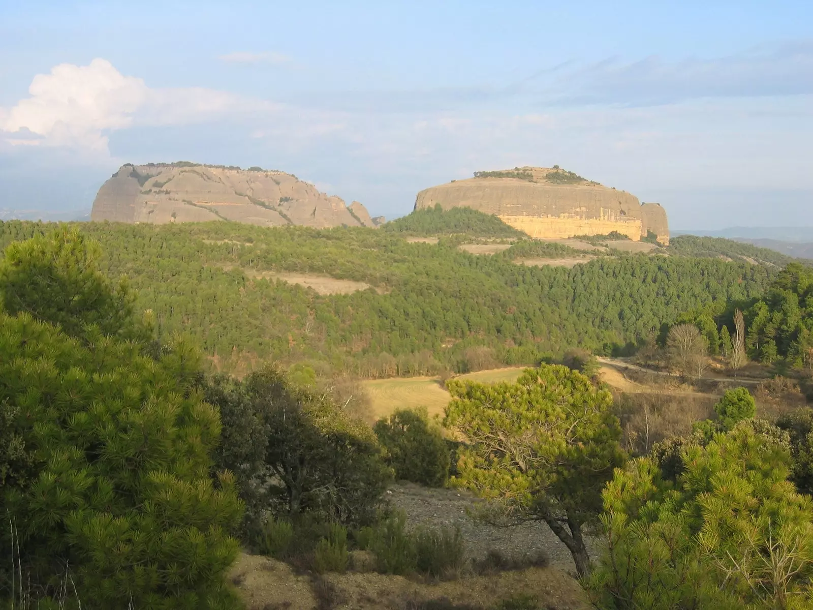 Natur i regionen Alt Urgell Lleida