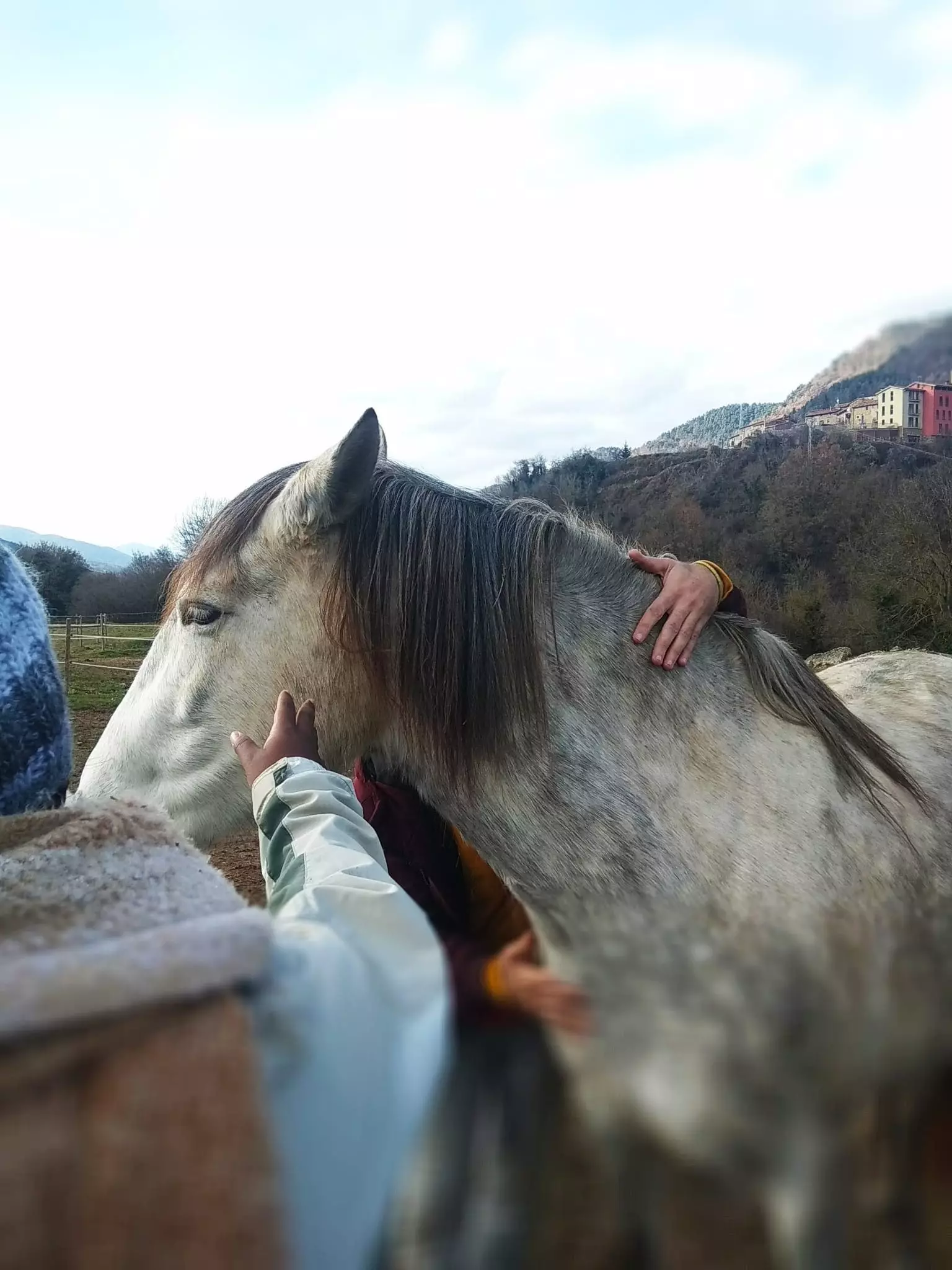 Institutul Hearthmath răspândește cunoștințele despre coerența cardiacă.