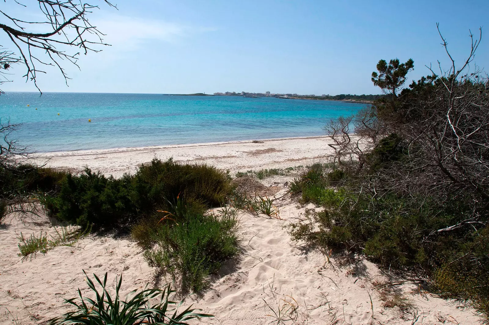 Es Carbo Maiorca