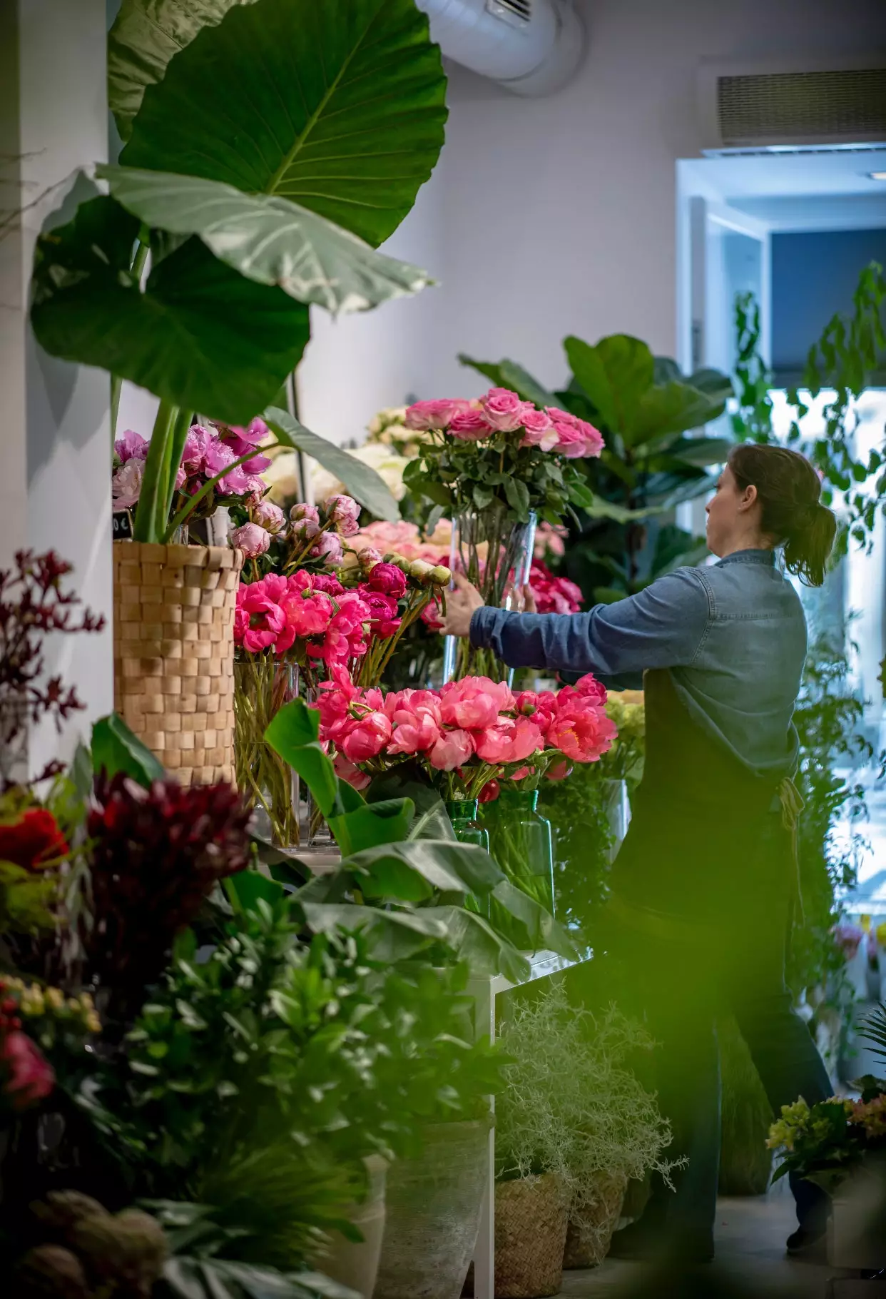 Floristas dão as boas-vindas à primavera