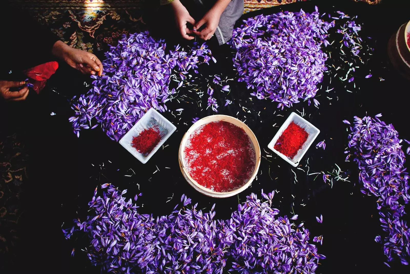 Tại sao saffron lại đắt như vậy, chúng tôi đã có câu trả lời!