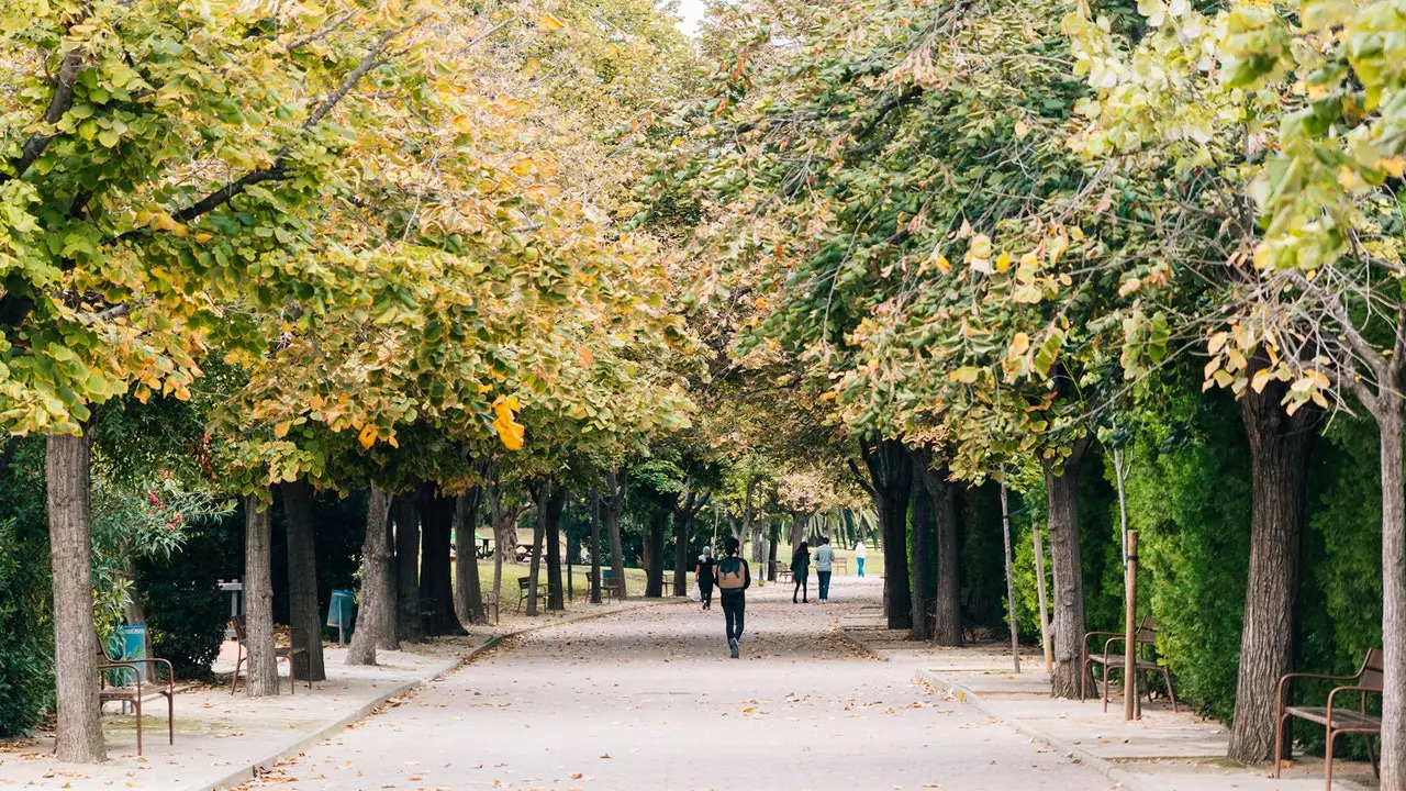 Serialparc: Valencia, narak fil-parks