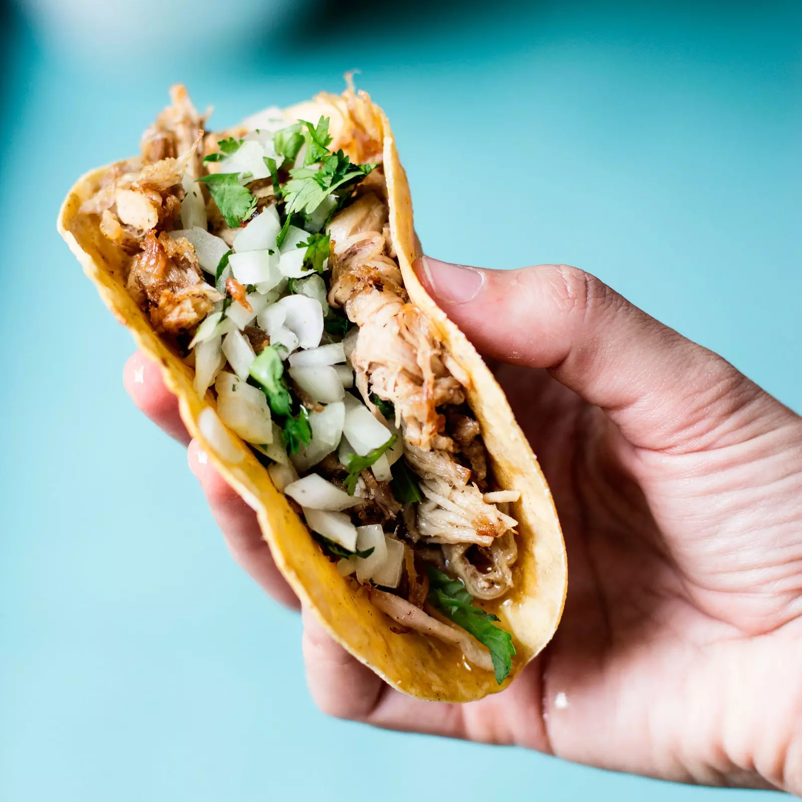 Mano de Santo carnitas taco