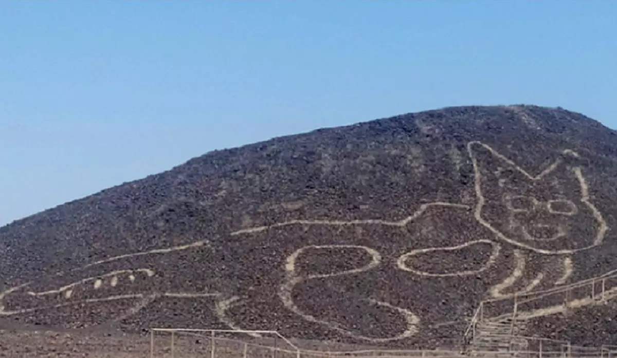 Cuardach Nádúrtha Geoglyph Cat Pampa de Nazca Peiriú