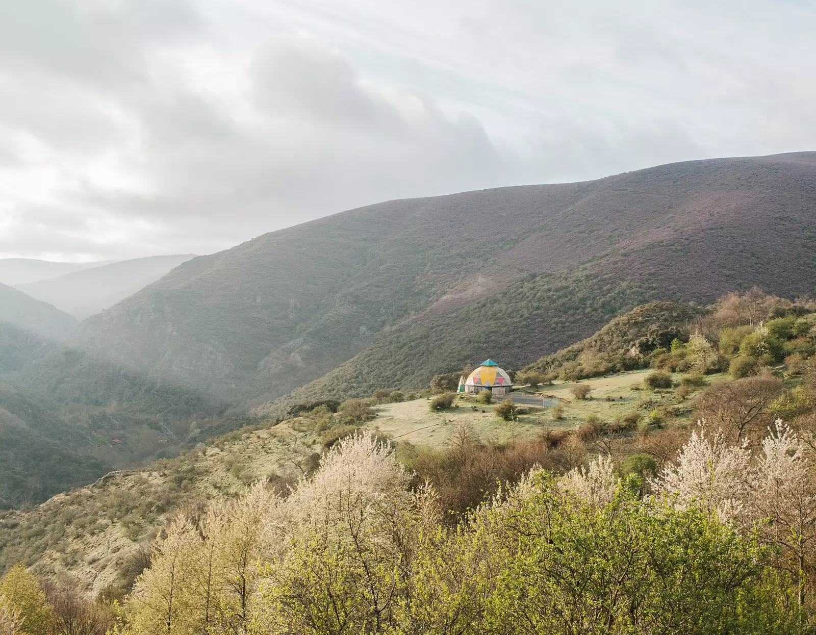 Matavenero El Bierzo Leon