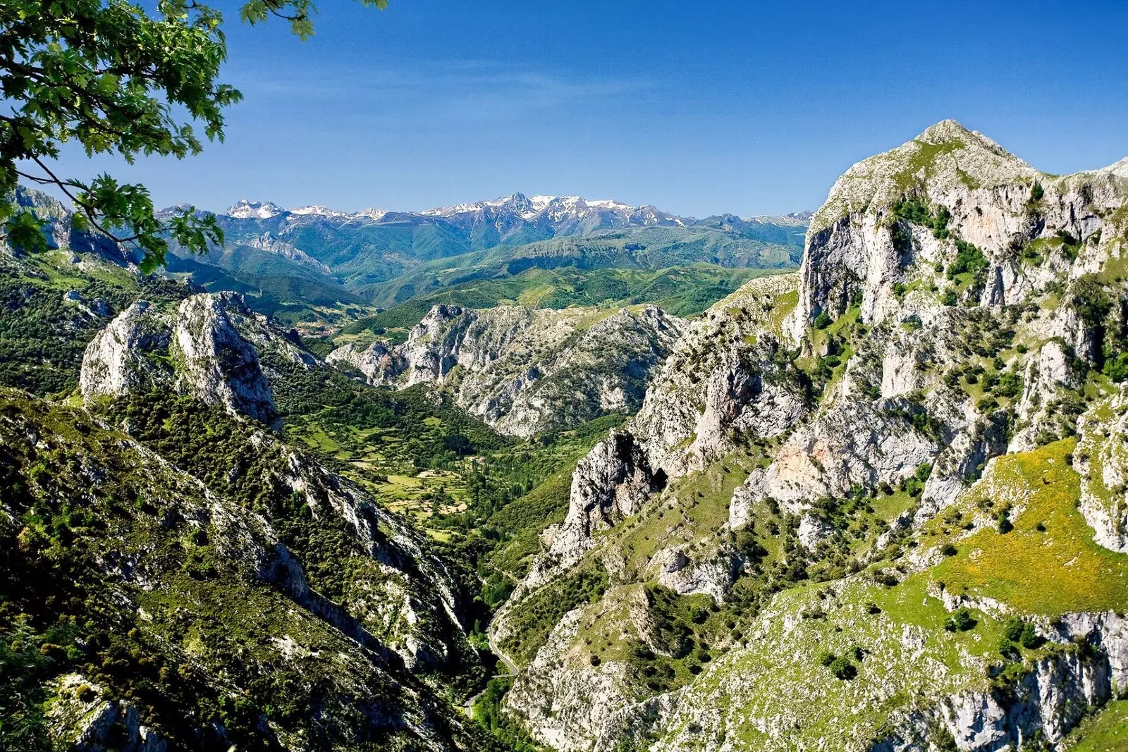 Hermida Gorge Cantabria