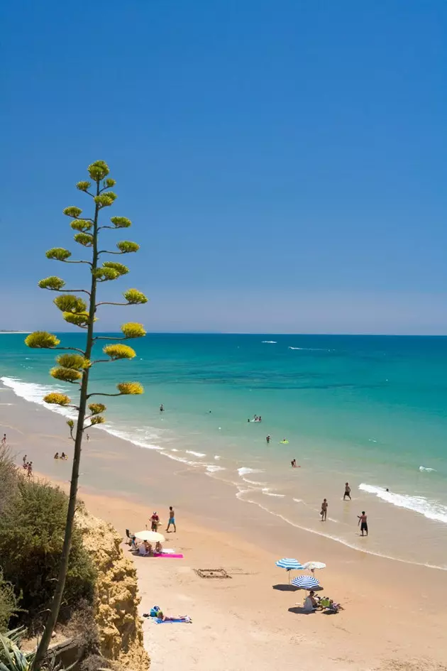 La Fontanilla-stranden i Conil