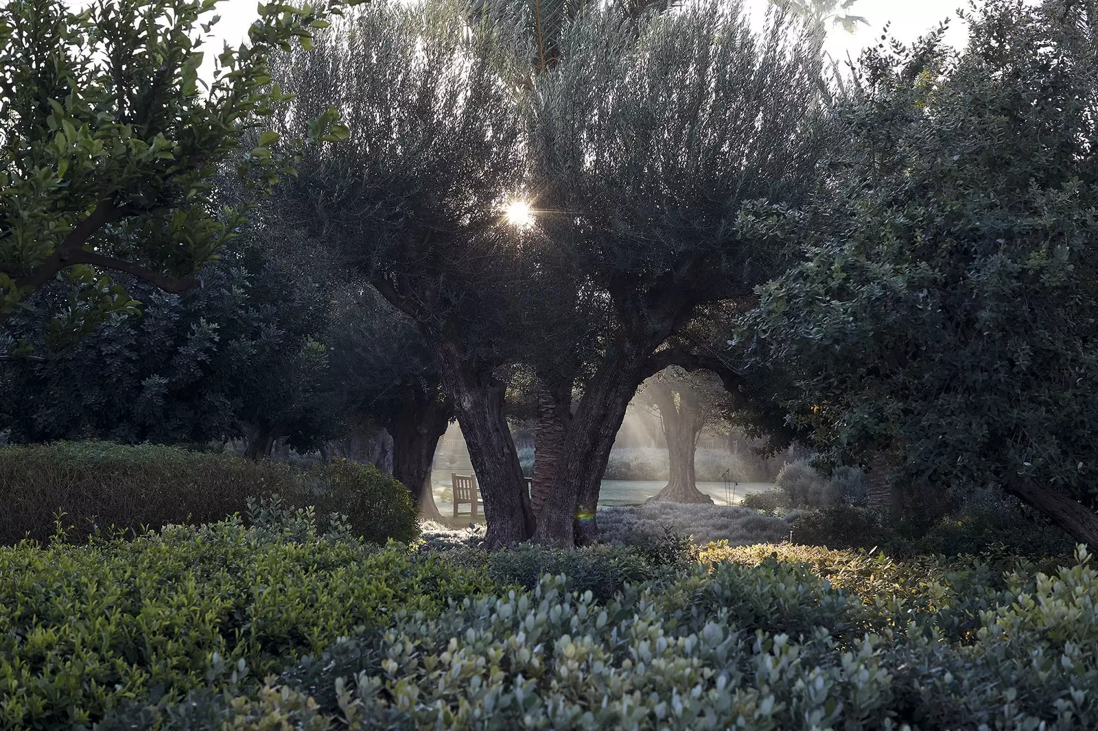 Part of the gardens of the Royal Mansour hotel