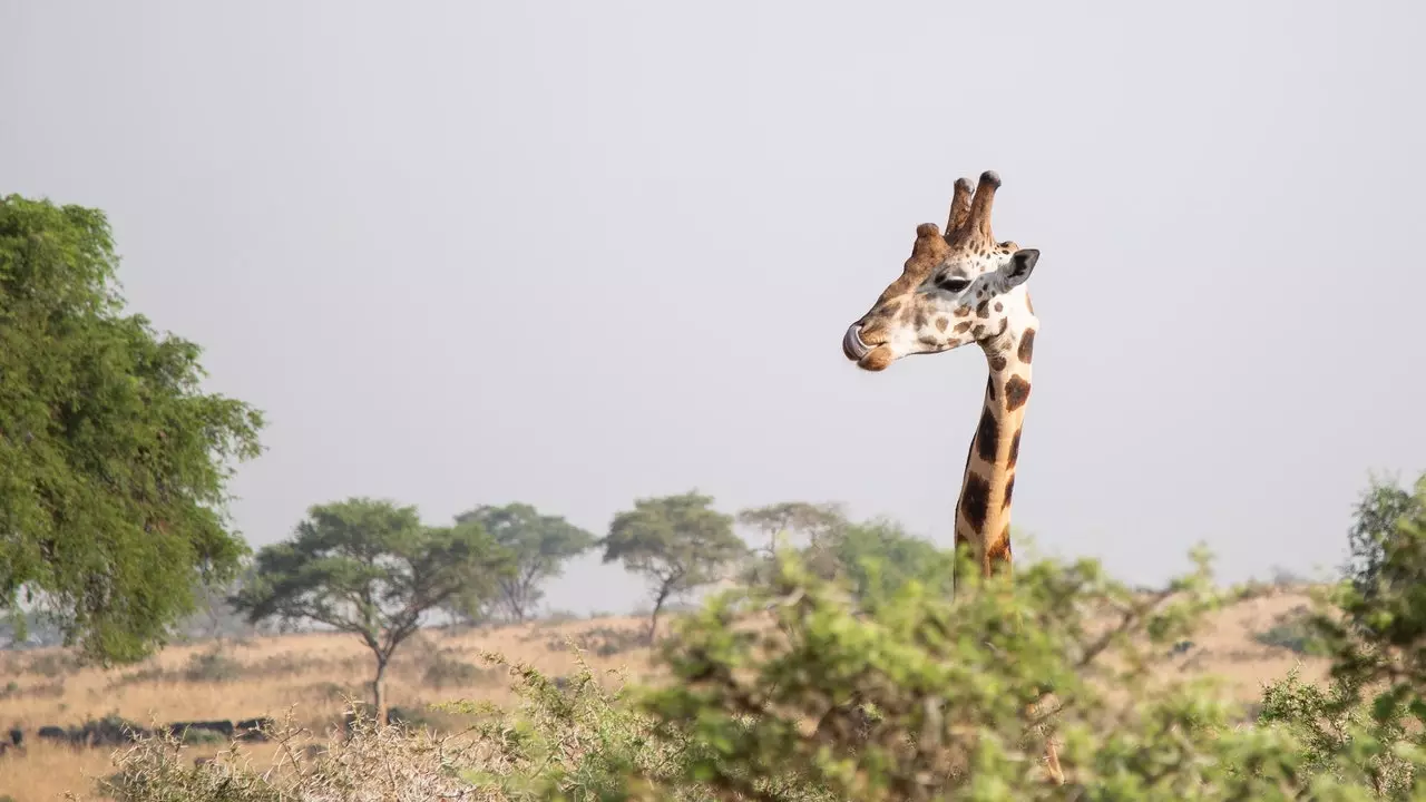 Najbardziej nieznana Uganda