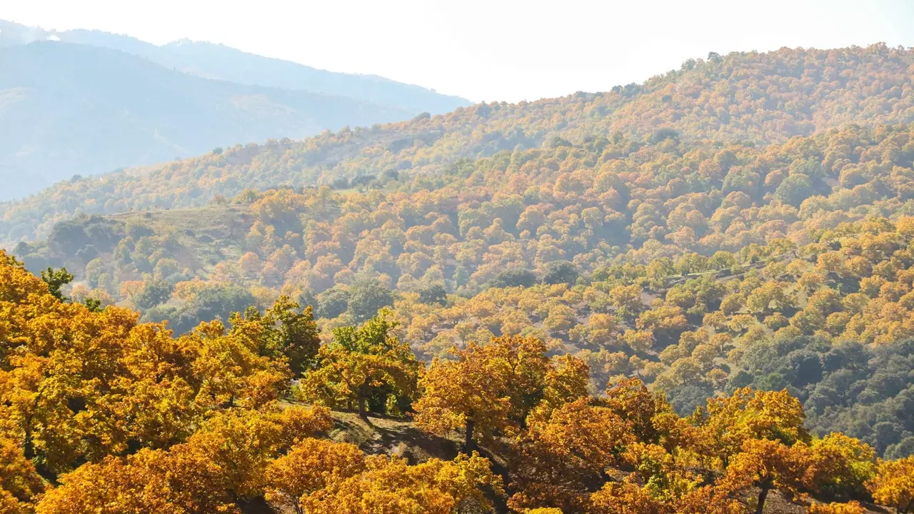 La Vall del Genal, de principi a fi