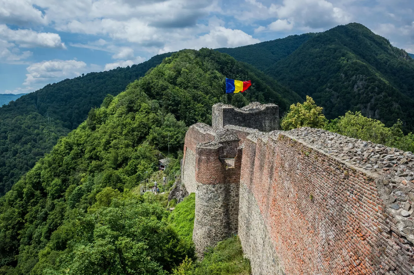 პოენარი