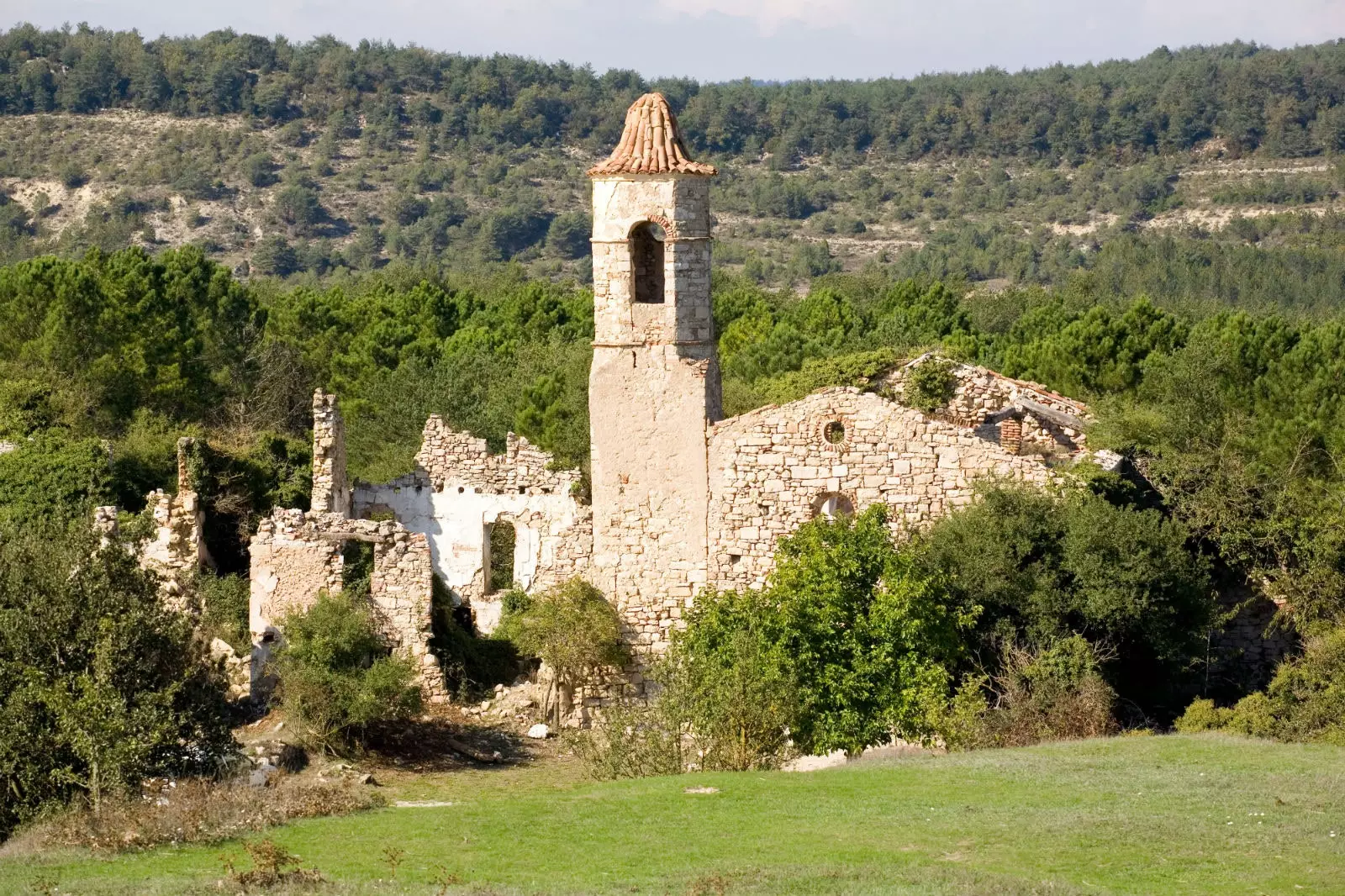 Mussara í Tarragona.