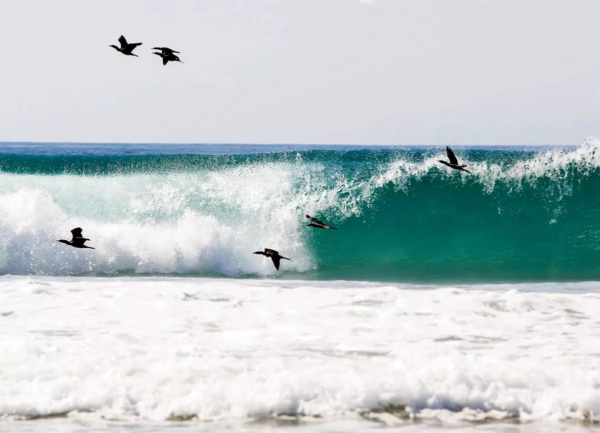 Trí chúis le cuairt a thabhairt ar Puerto Escondido