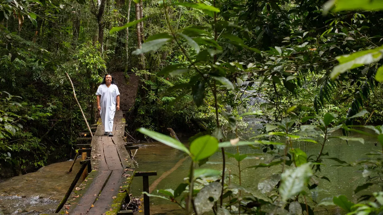 Miks on Chiapas kindel jah?