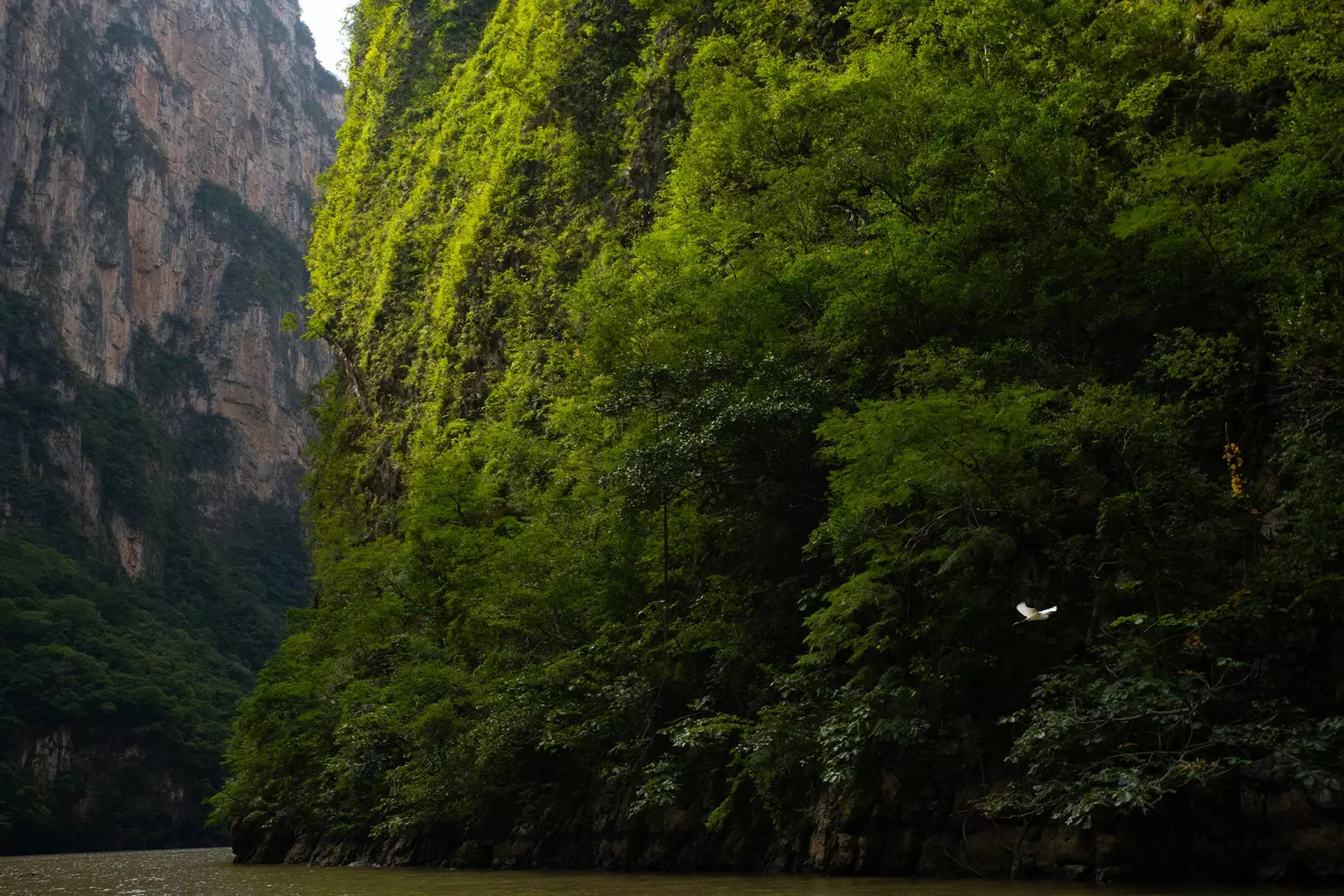 Kaňon Sumidero Chiapas Mexiko.