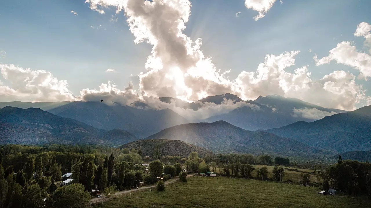 Մենդոզայի կենացը