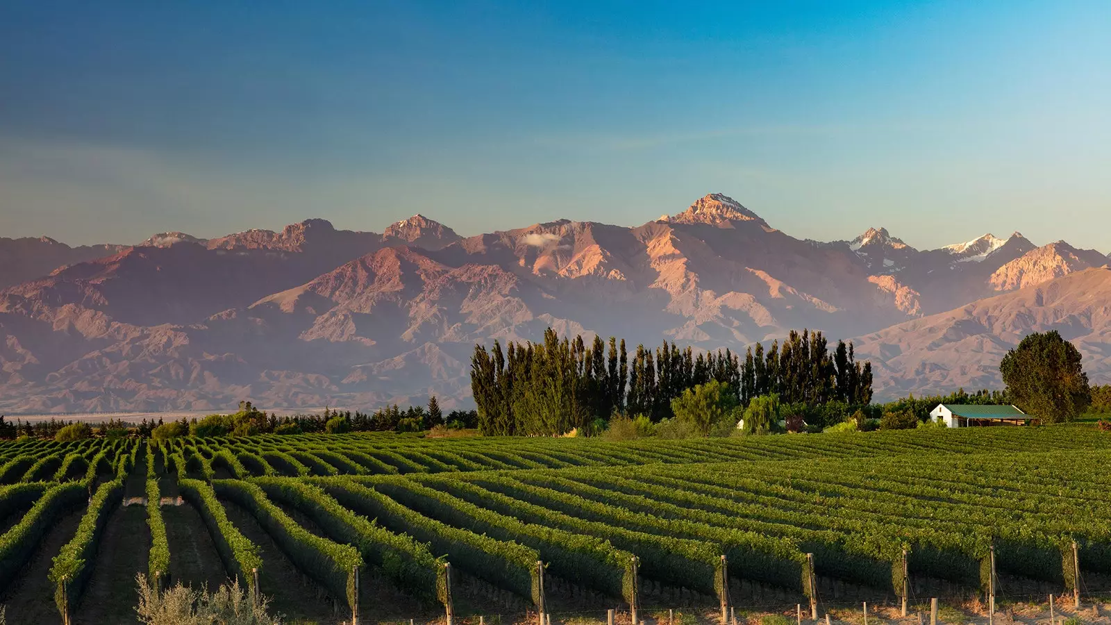 Le Ande dai vigneti della provincia Argentina di Valle de Uco Mendoza