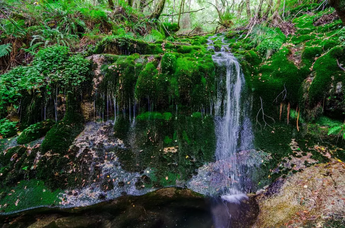 Fiume del parco naturale Fragas do Eume a La Coruña Galizia.