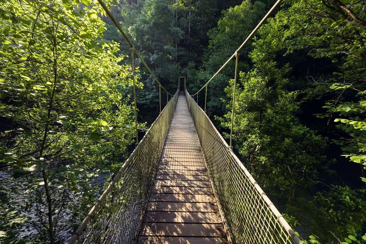 Pont penjant de Fornelos al parc natural Fragas Do Eume A Coruña Galicia.