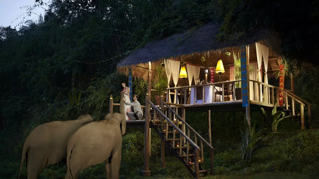 Hotel di Thailand tempat tinggal gajah yang diselamatkan