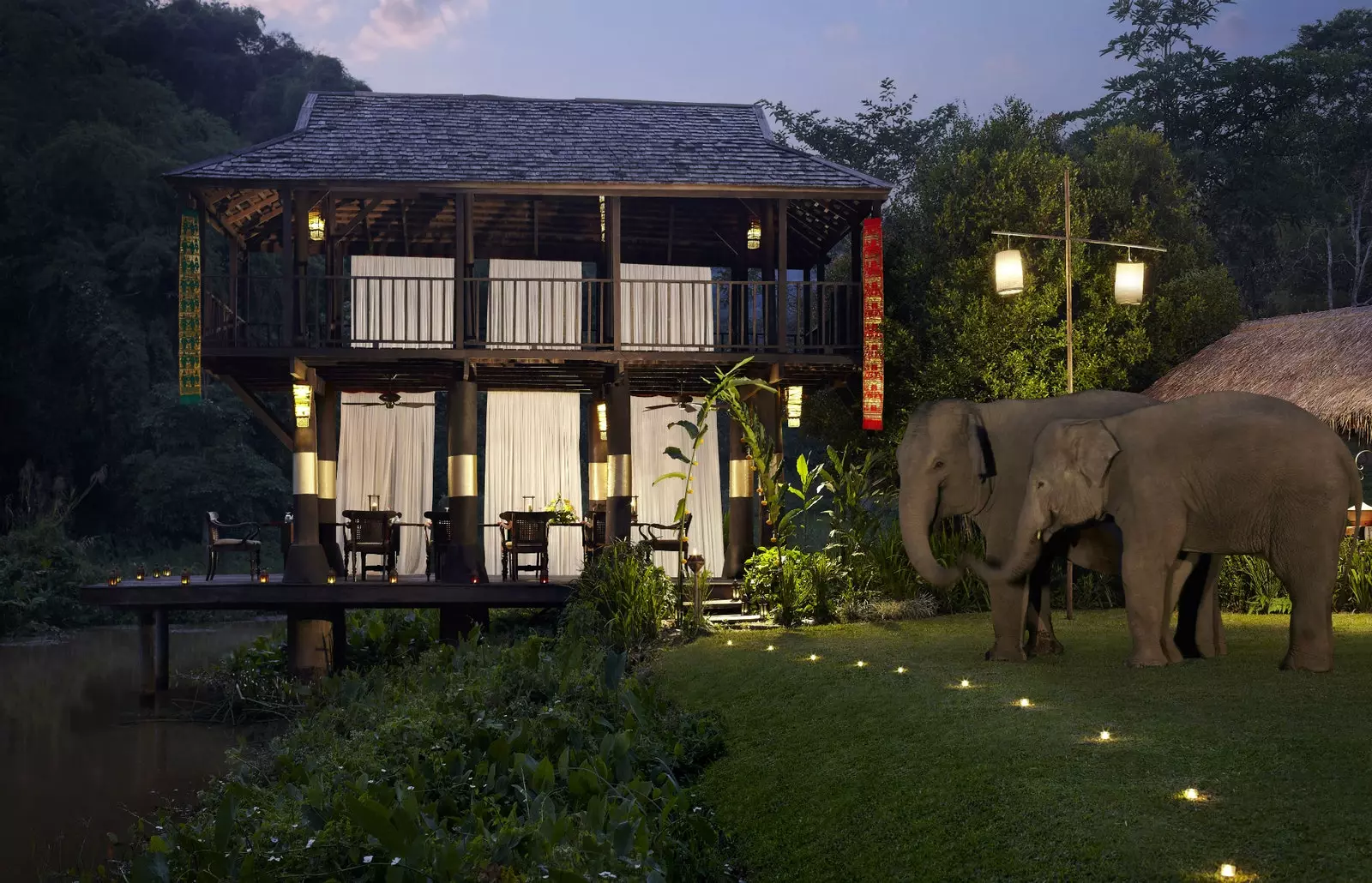 24 elefants rescatats viuen a l'Anantara Golden Triangle Elephant Camp and Resort.