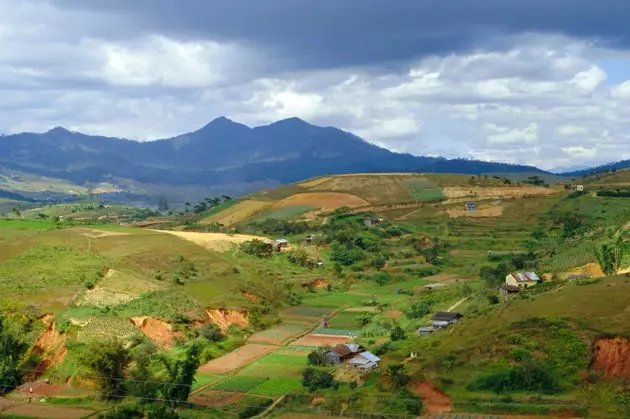 Dalat, Vietnams kaffeby