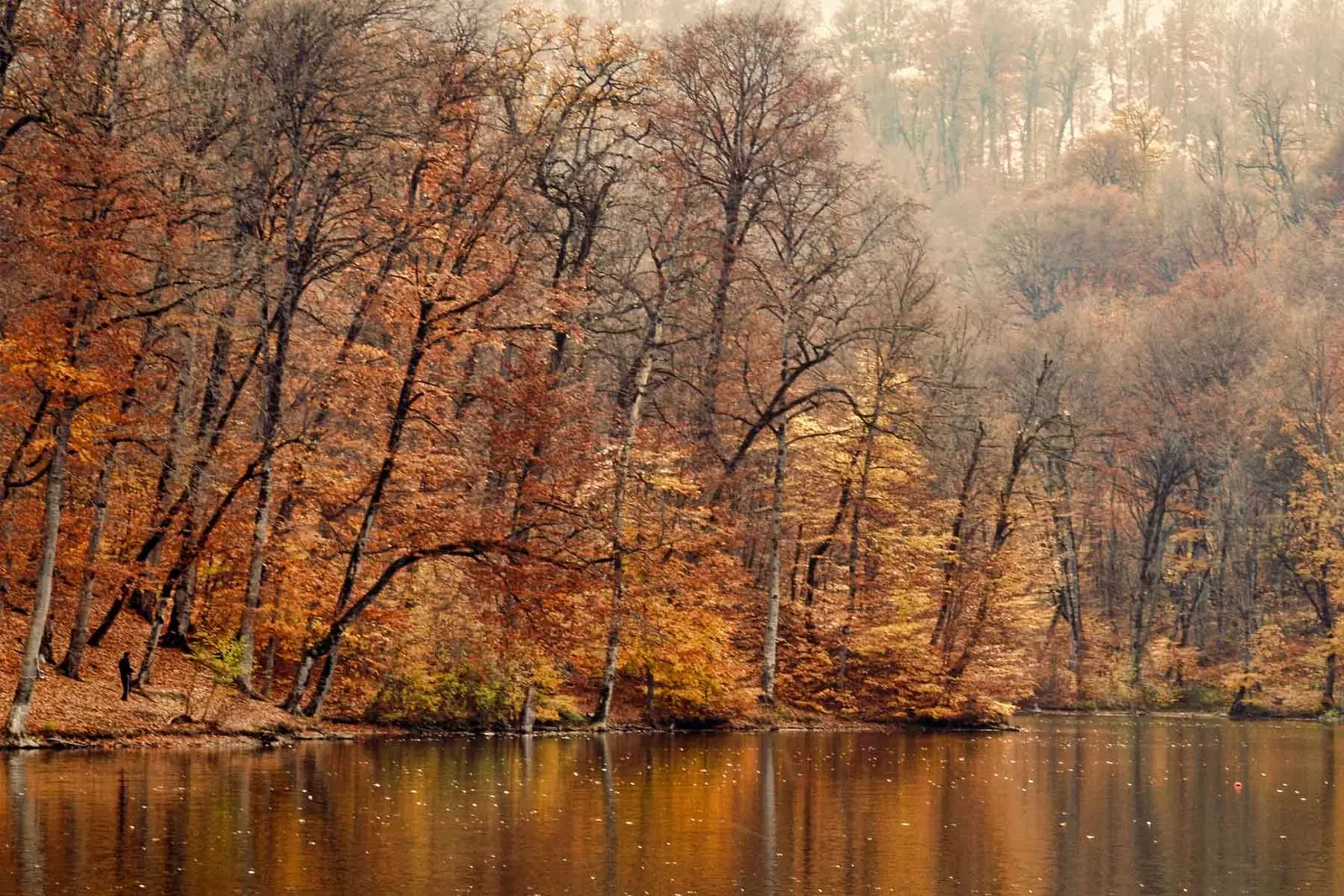 Høst Dilijan nasjonalpark