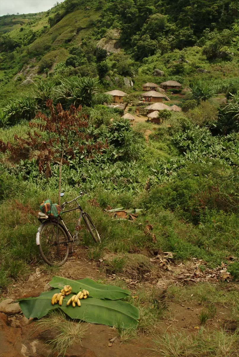 estrada namuli em moçambique