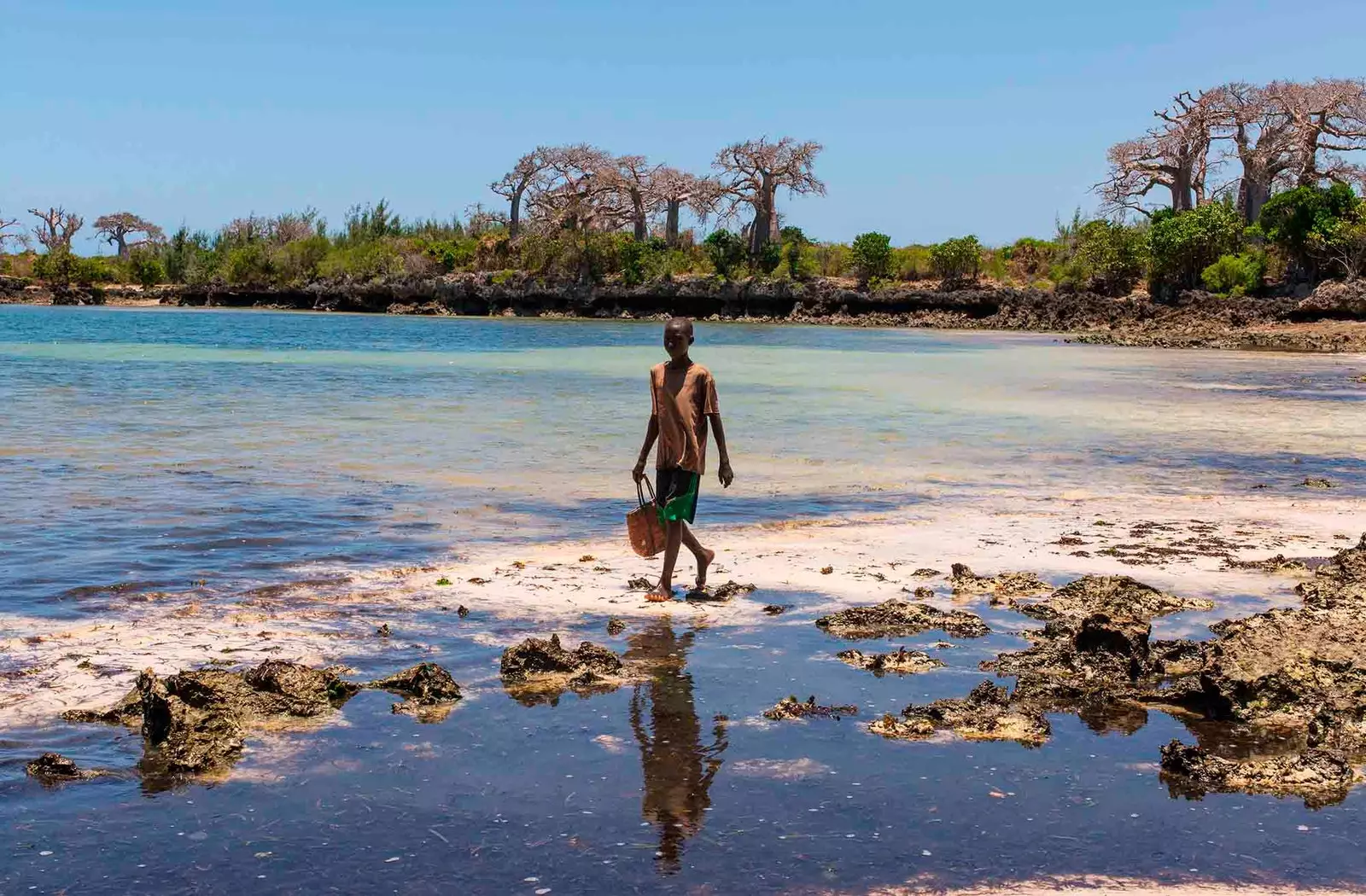 Baobabs ar an trá agus buachaill ag iompar buicéad