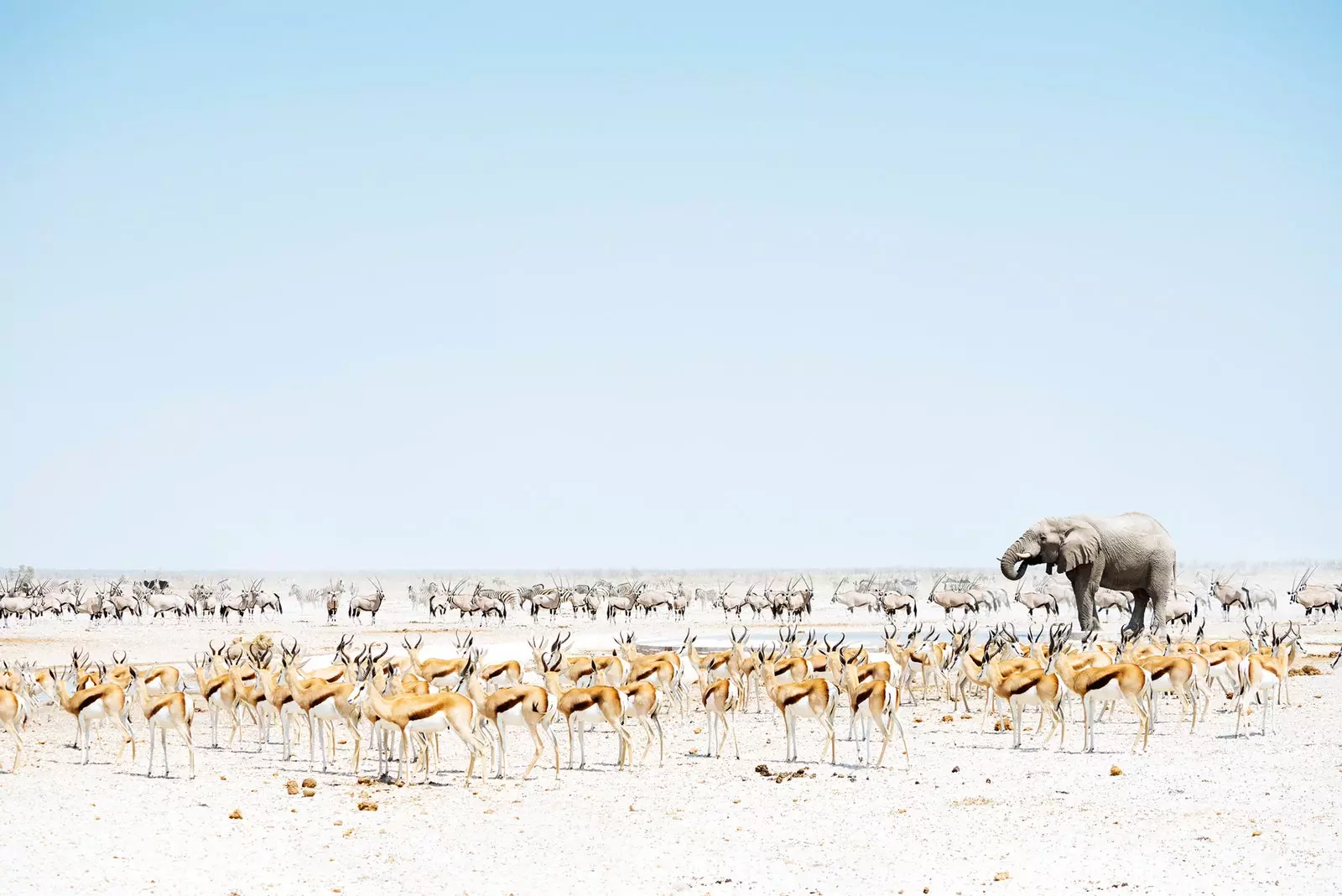 Namibia