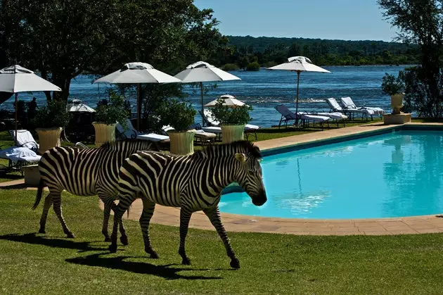 Piscina del Royal Livingstone