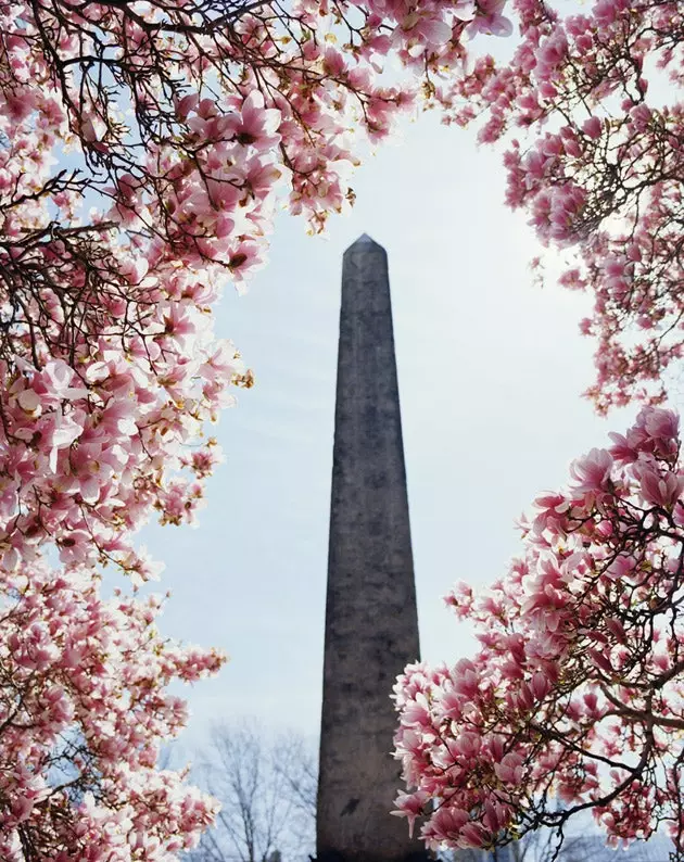 New York က Cleopatra's Needle စုံတွဲ