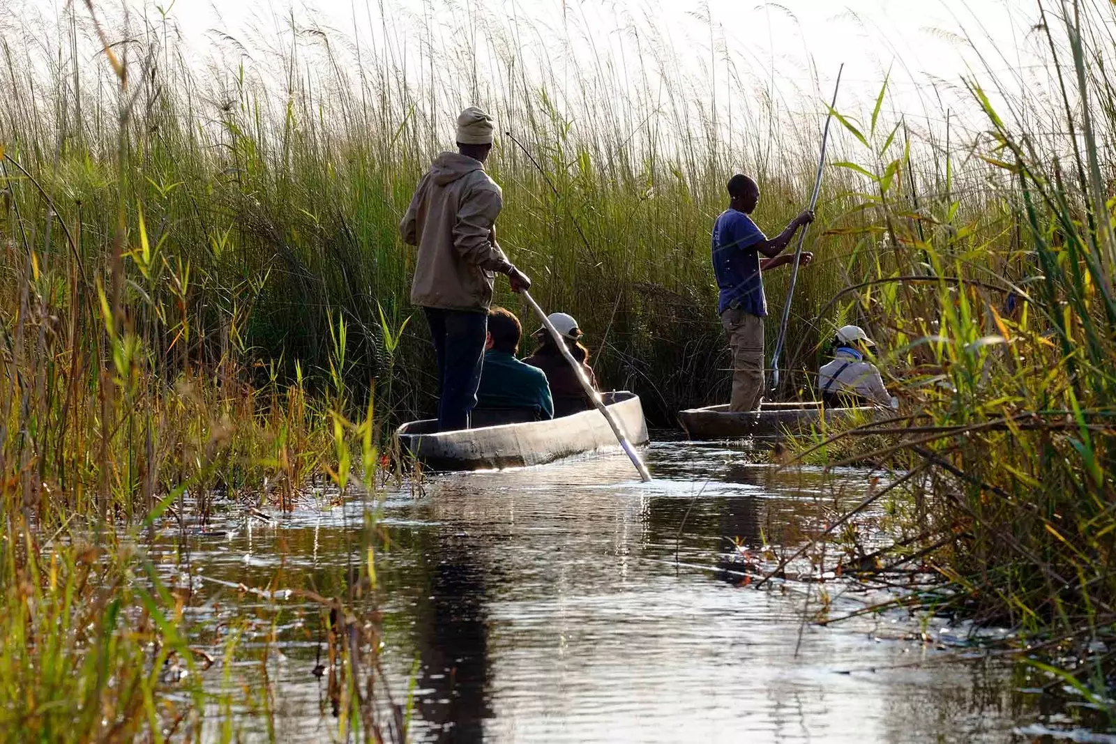 prehliadka delty Okavango v „mokoro“