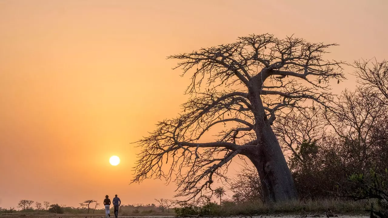 Surga relaksasi Afrika menanti Anda di Casamance