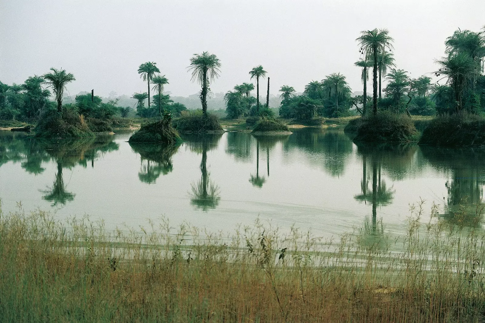 Mangrovová krajina Casamance