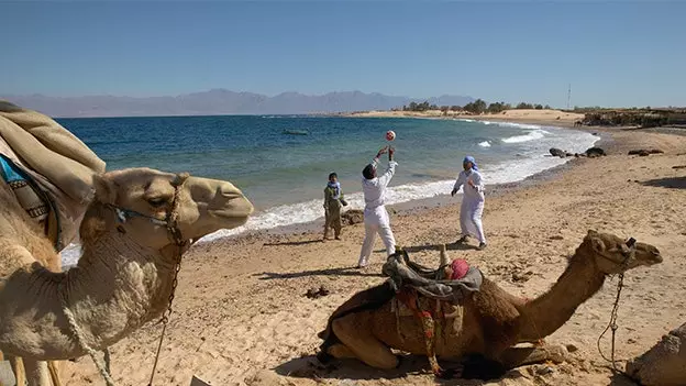 Afrika mediası sizə heç vaxt göstərmir